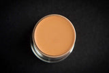 DORIS MICHAELS - CREME STICK FOUNDATION 19.5G