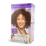 DARK & LOVELY HAIR COLOUR BROWN CINAMON 391 KIT